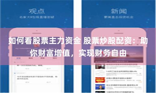 如何看股票主力资金 股票炒股配资：助你财富增值，实现财务自由